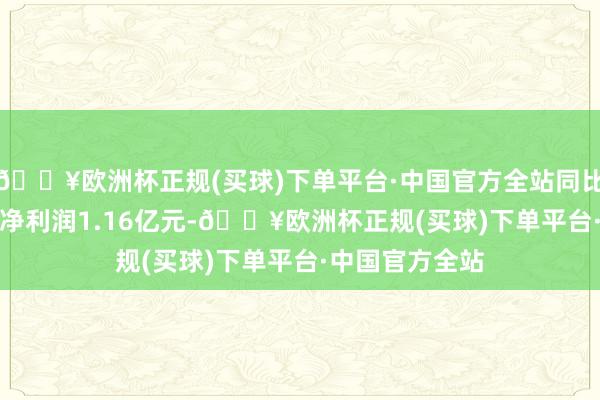 🔥欧洲杯正规(买球)下单平台·中国官方全站同比增长4.15%；净利润1.16亿元-🔥欧洲杯正规(买球)下单平台·中国官方全站