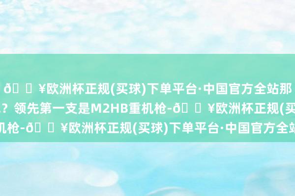 🔥欧洲杯正规(买球)下单平台·中国官方全站那么咱们会遴选哪把枪呢？领先第一支是M2HB重机枪-🔥欧洲杯正规(买球)下单平台·中国官方全站
