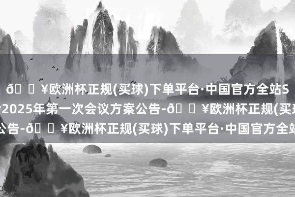 🔥欧洲杯正规(买球)下单平台·中国官方全站ST中嘉：第八届董事会2025年第一次会议方案公告-🔥欧洲杯正规(买球)下单平台·中国官方全站