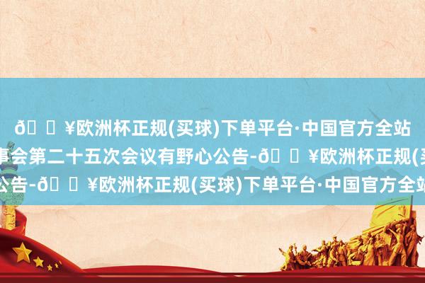 🔥欧洲杯正规(买球)下单平台·中国官方全站泉峰汽车：第三届董事会第二十五次会议有野心公告-🔥欧洲杯正规(买球)下单平台·中国官方全站